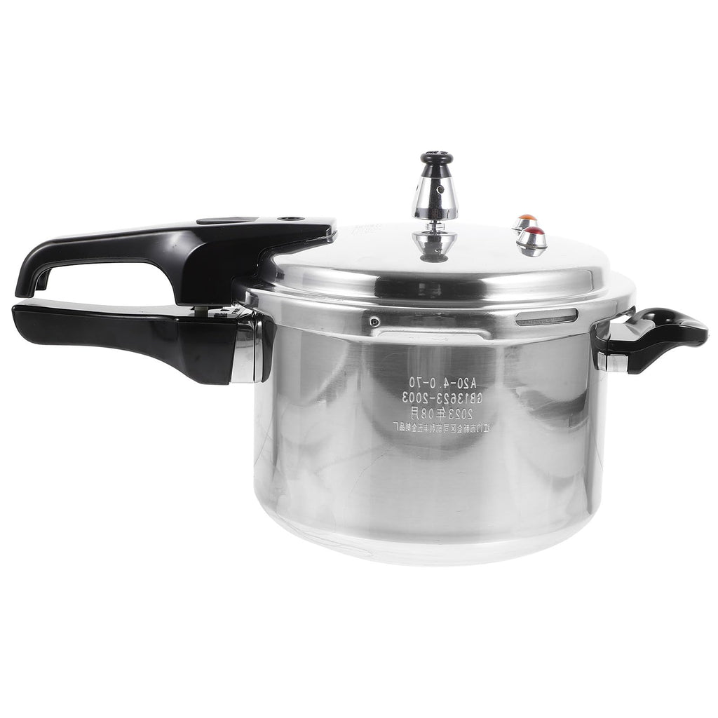 Aluminum Alloy 4 L Pressure Cooker T382853