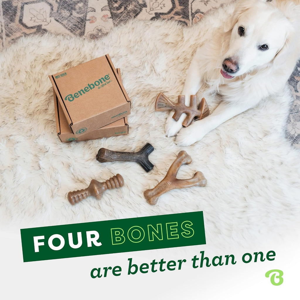 Medium 4-Pack Dog Toys B28047