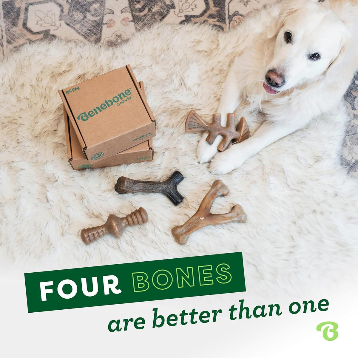Medium 4-Pack Dog Toys B28047