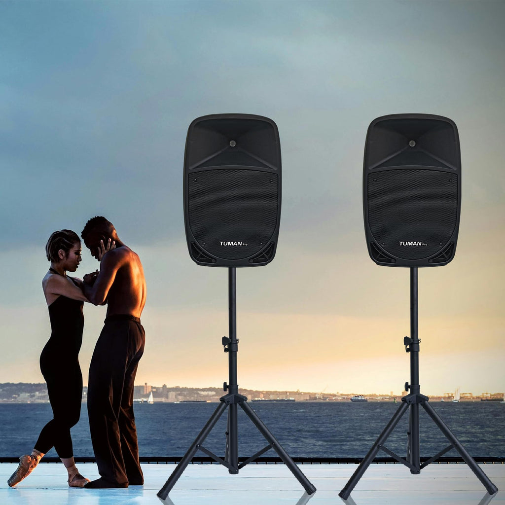 10 Inch 1200W PA Speaker System N39267