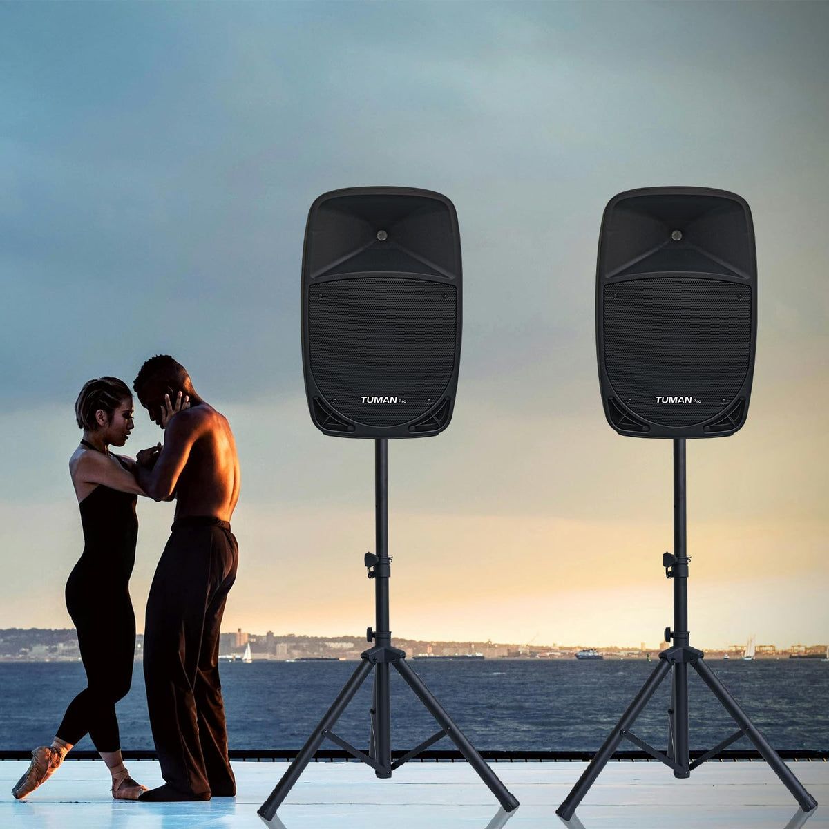 10 Inch 1200W PA Speaker System N39267