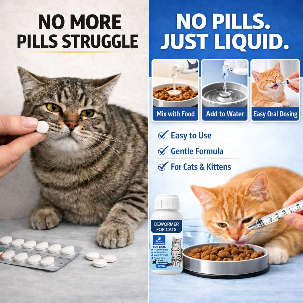 Broad Spectrum Cat Dewormer Liquid 4 oz D327245