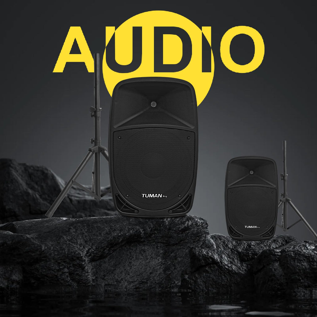 10 Inch 1200W PA Speaker System N39267