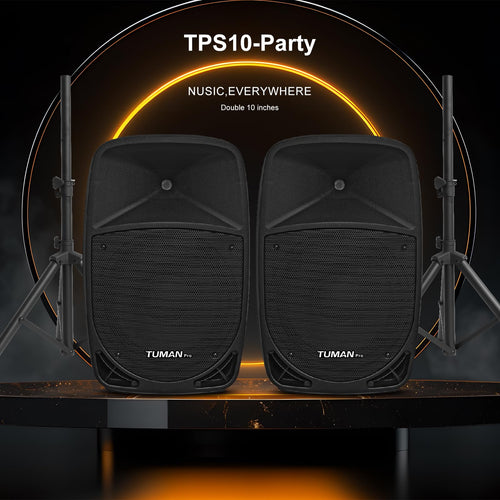 10 Inch 1200W PA Speaker System N39267