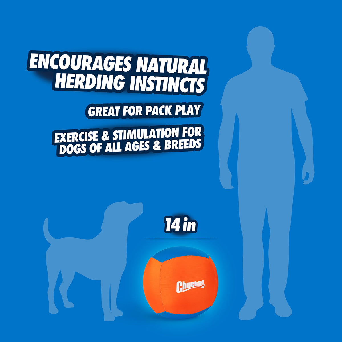 Dog Toy L564