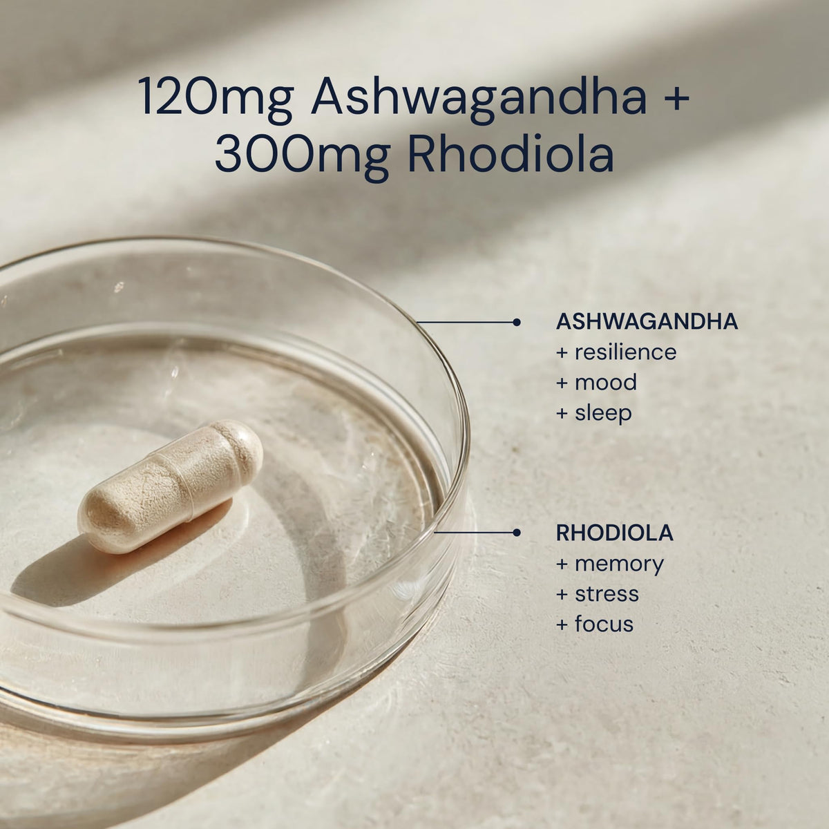 Ashwagandha & Rhodiola 120mg Adaptogen Capsules 30 Vegan Capsules D1514