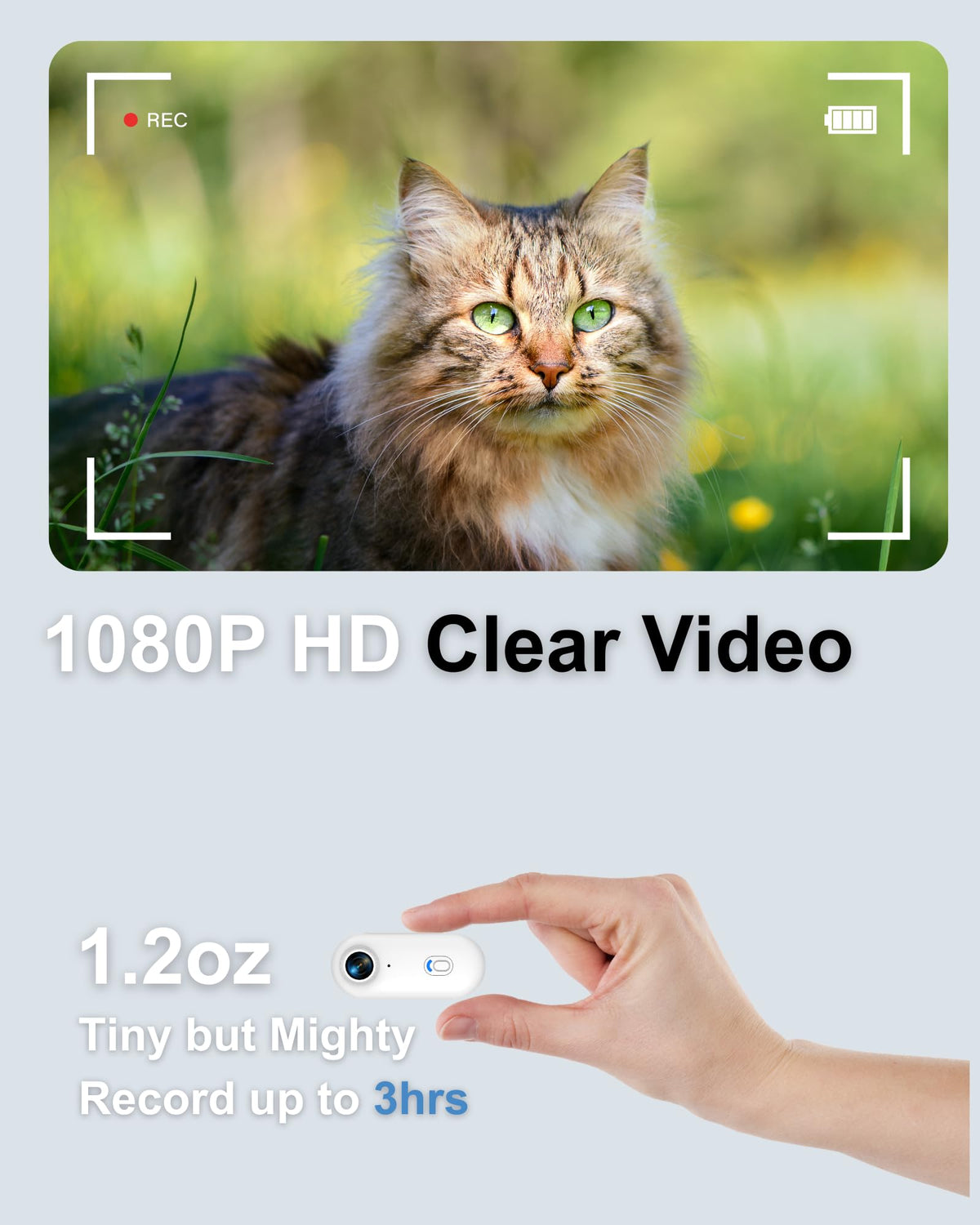 Camera Collar with Phone App & Tracker Tag G8517