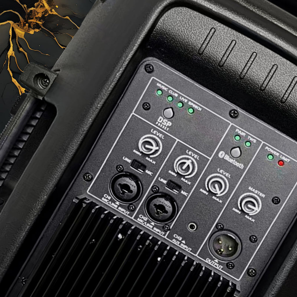 10 Inch 1200W PA Speaker System N39267