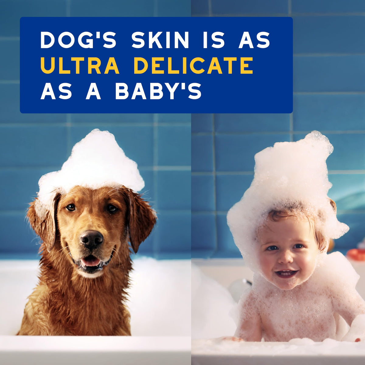 Oatmeal Dog Shampoo, 16 fl oz W786