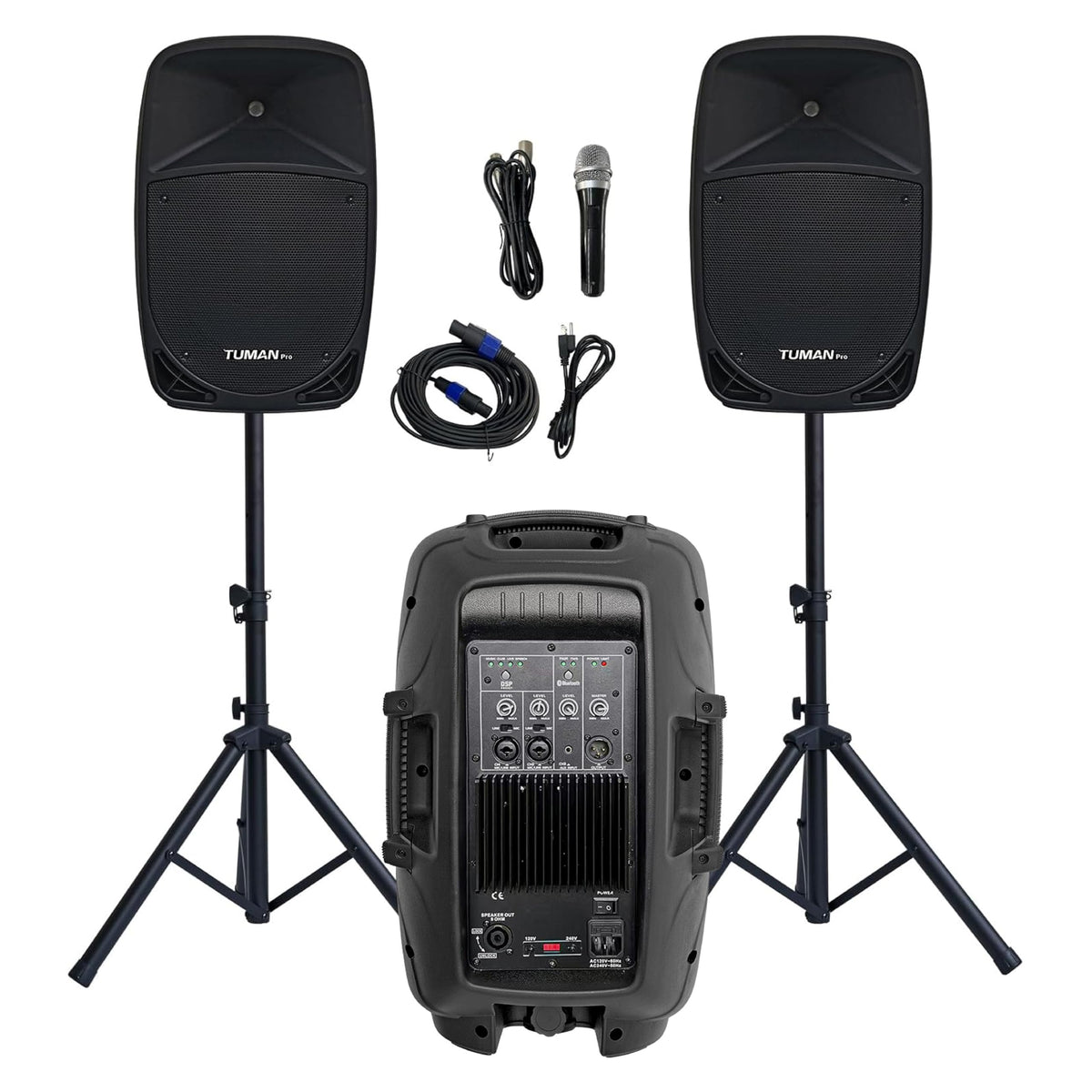 10 Inch 1200W PA Speaker System N39267