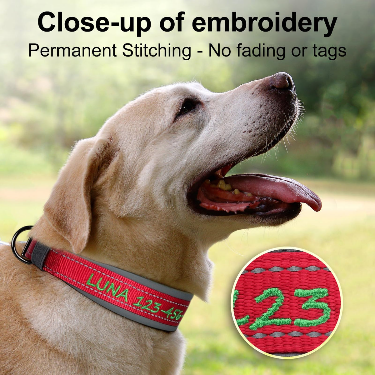 Personalized Dog Collar Q414