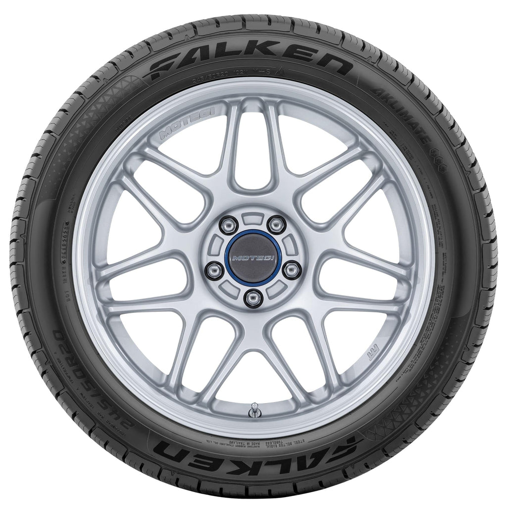 205/65R15 99H XL All Weather Passenger Tire V35431