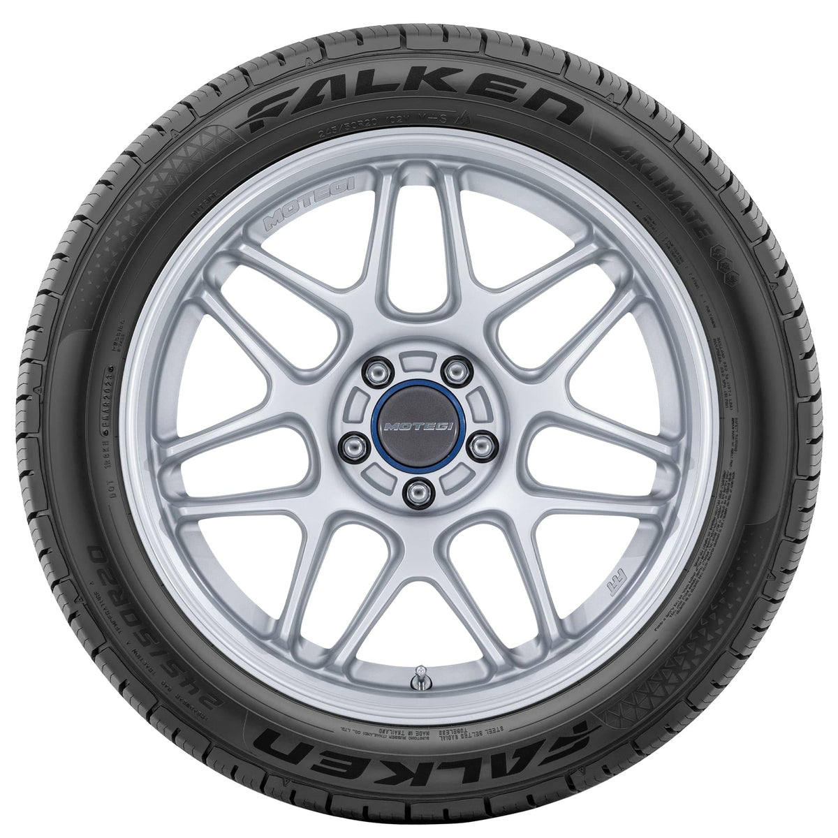 205/65R15 99H XL All Weather Passenger Tire V35431