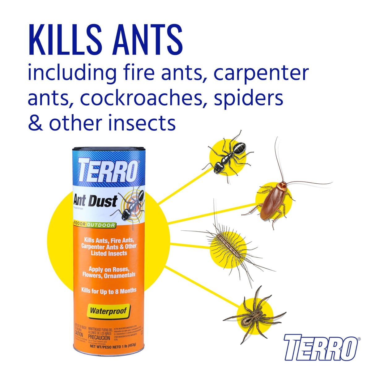 Ant Dust Z61765