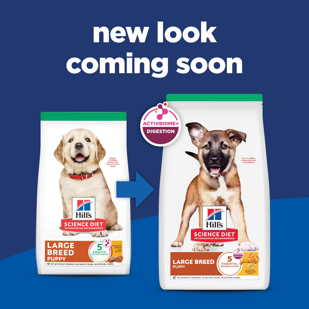 Dry Dog Food I499