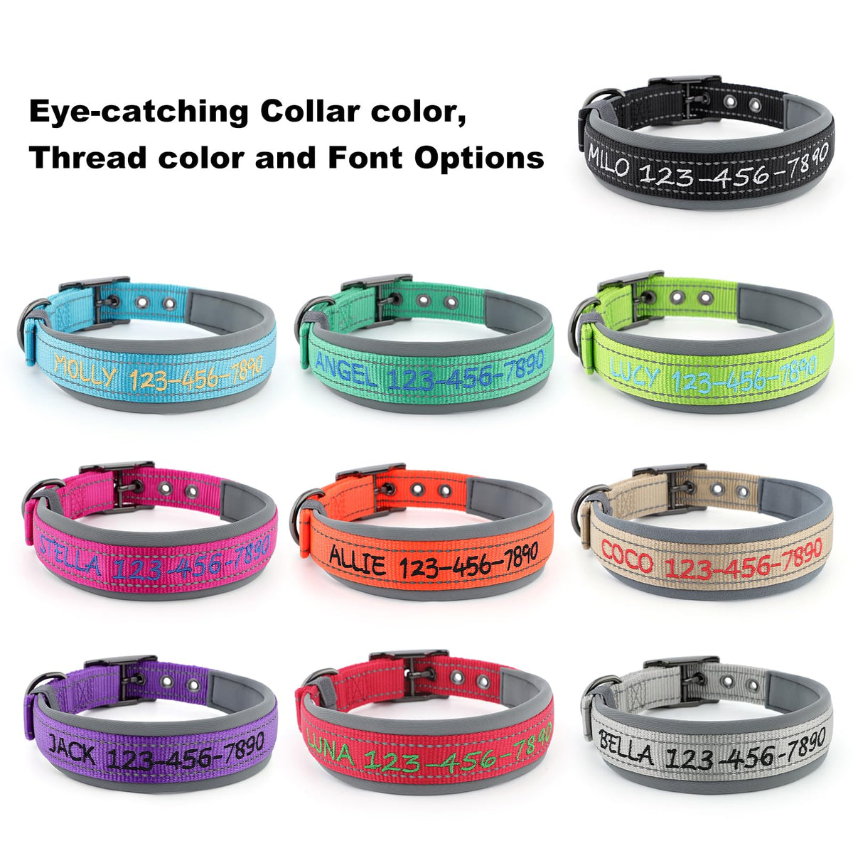 Personalized Dog Collar Q414