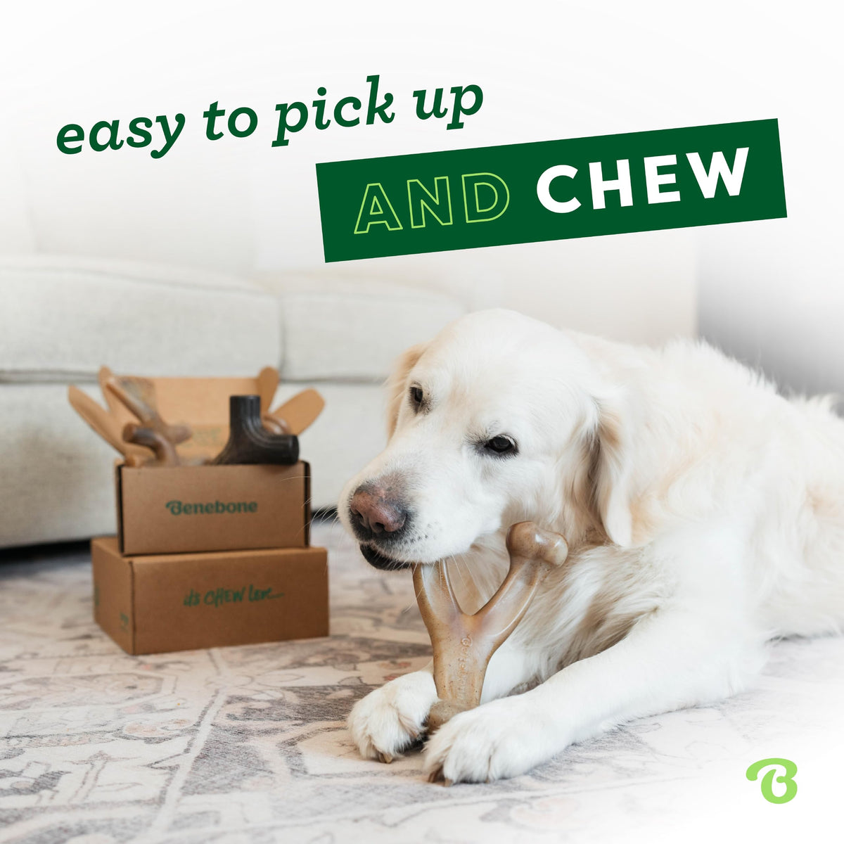 Medium 4-Pack Dog Toys B28047