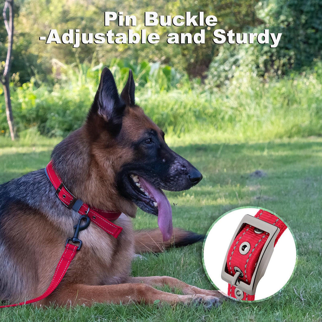 Personalized Dog Collar Q414
