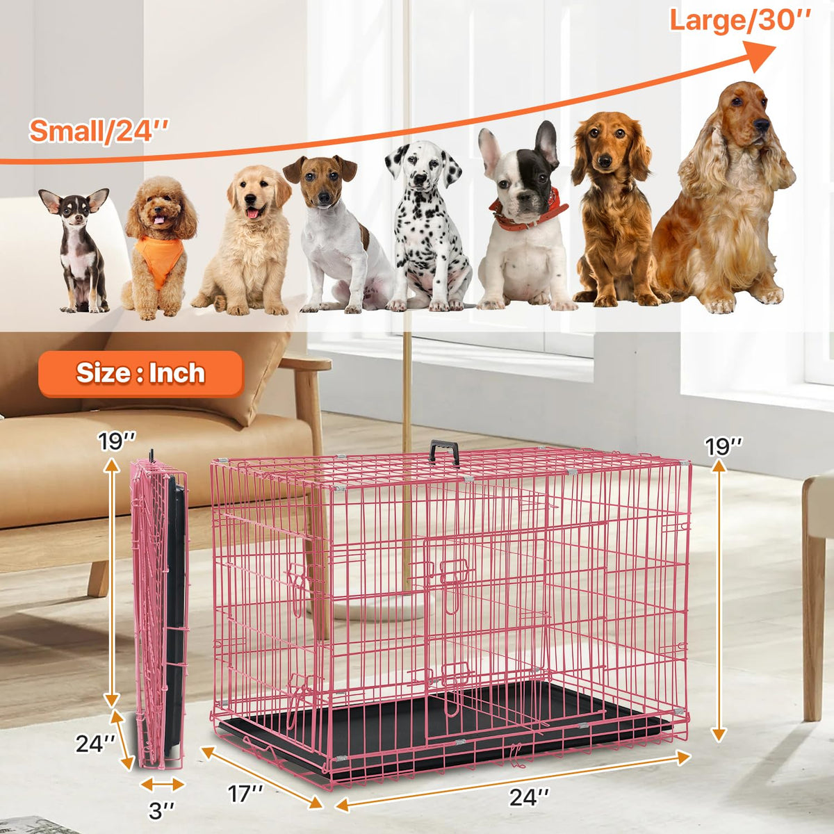 Folding Metal Dog Crate with Tray & Divider G464540
