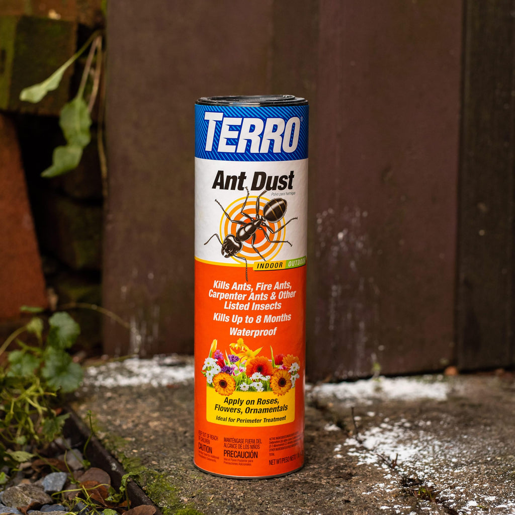 Ant Dust Z61765