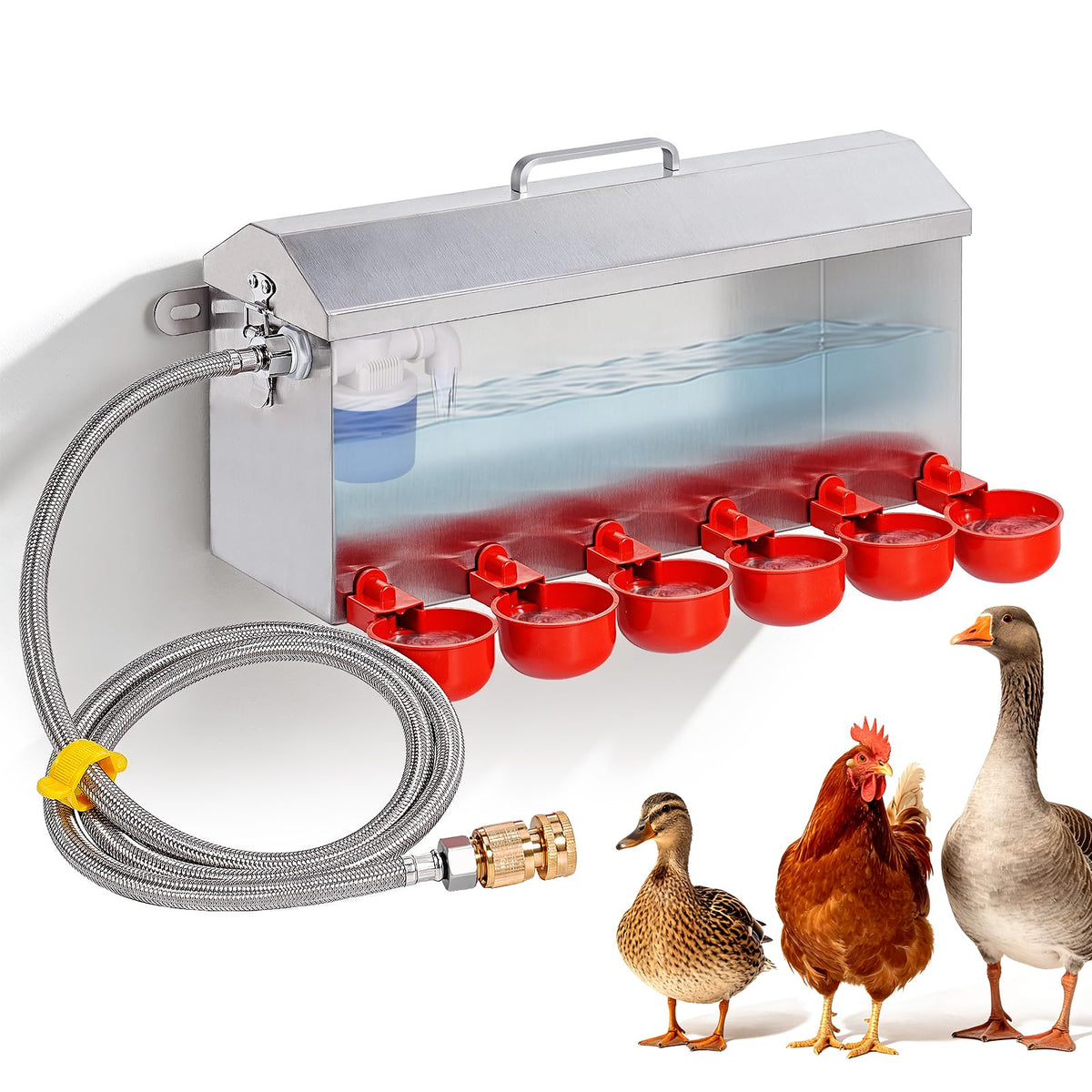 1.5 Gallon Metal Automatic Chicken Waterer W3885