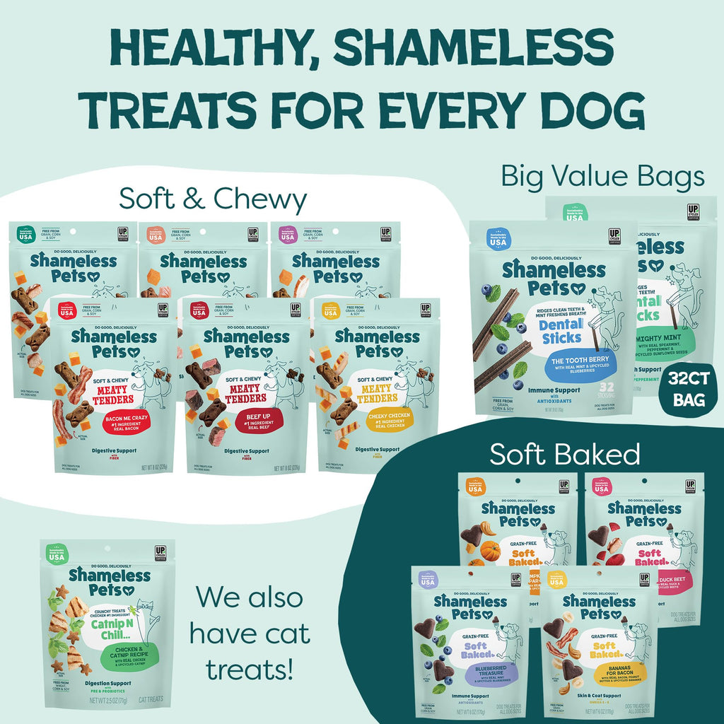 Mighty Mint Dental Chews for Dogs 18ct Y3674