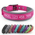 Personalized Dog Collar Q414