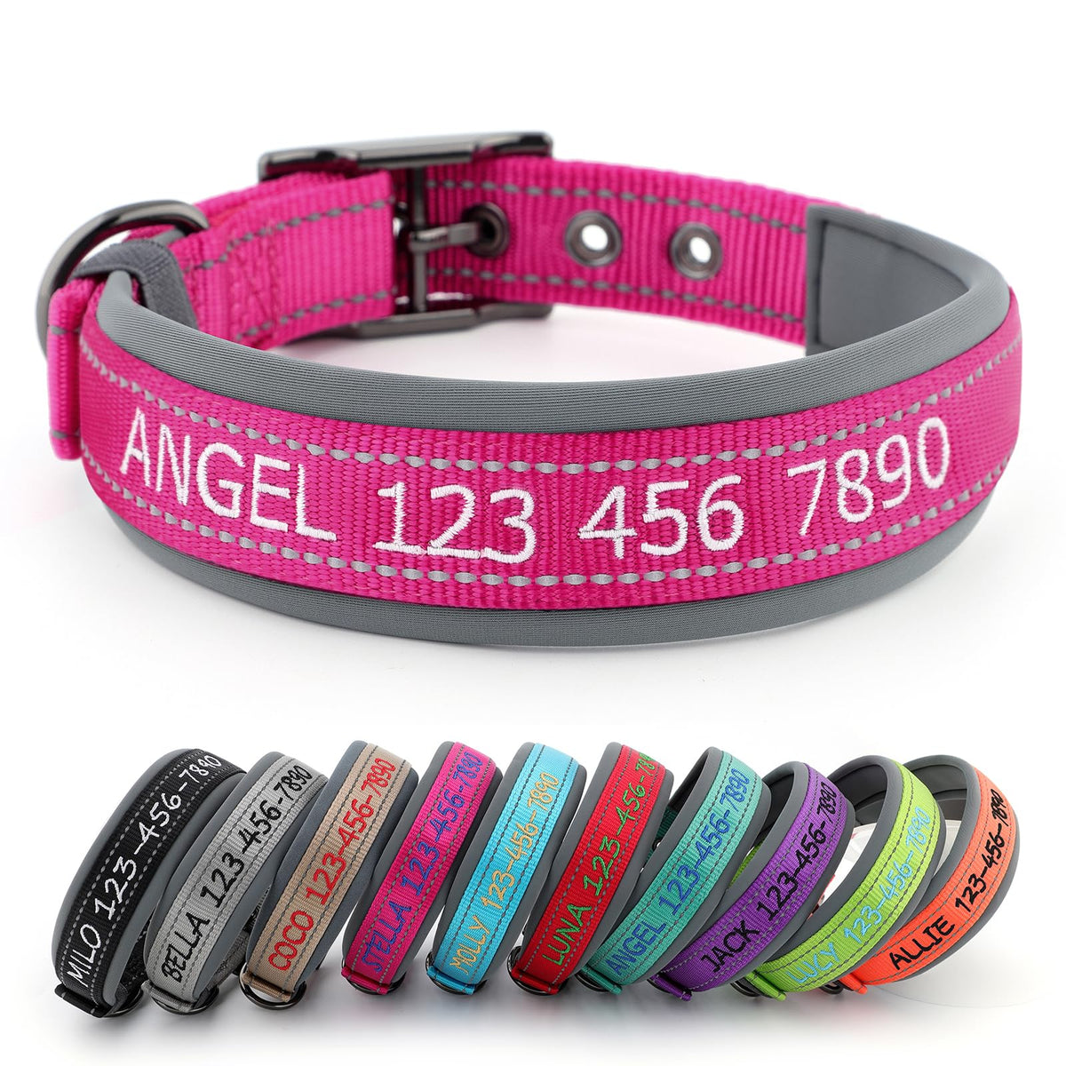 Personalized Dog Collar Q414
