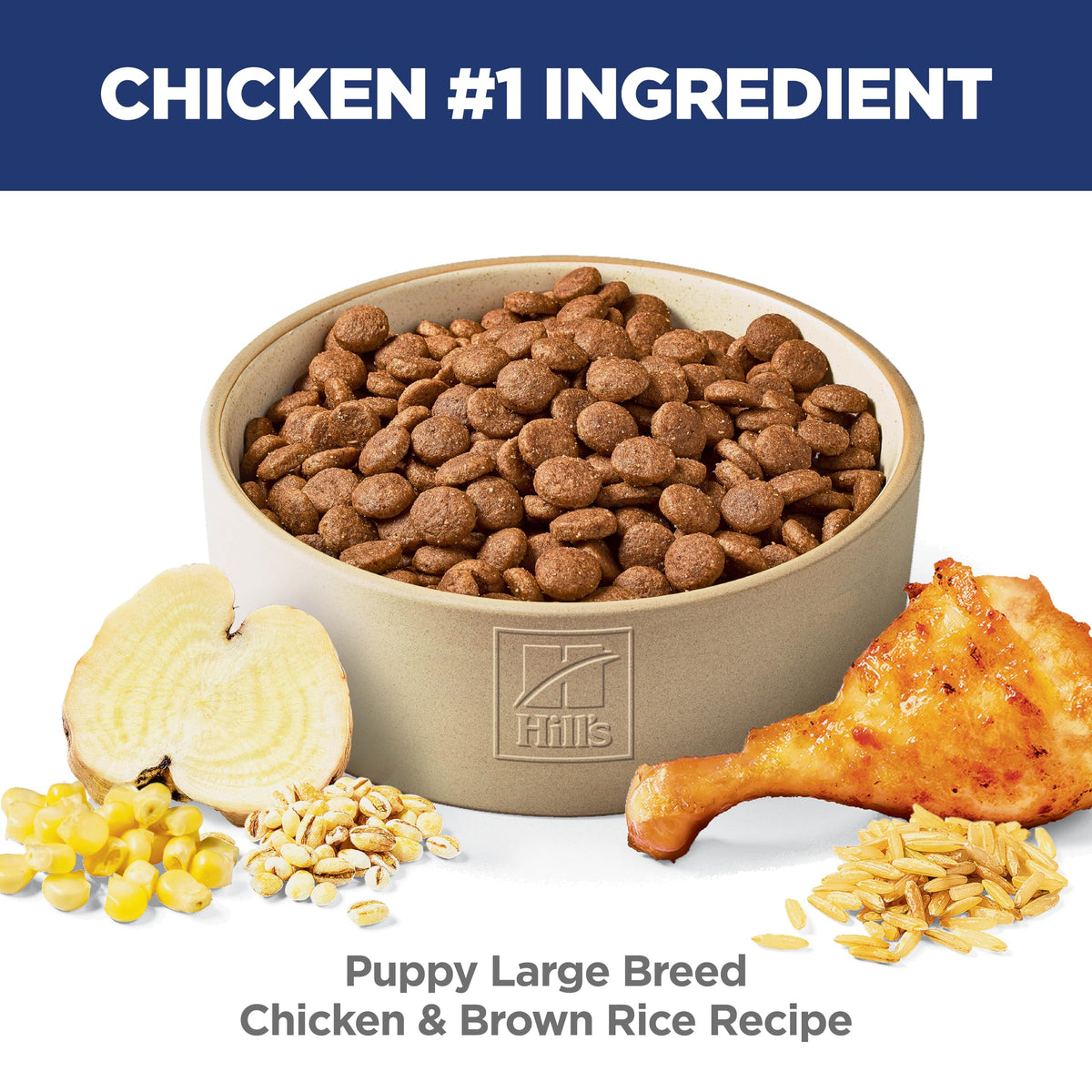 Dry Dog Food I499